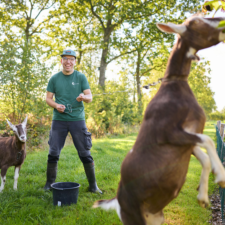 Elzenhiem vierkant Klaas geiten zorgboerderij Elzenhiem Klaas geiten zorgboerderij